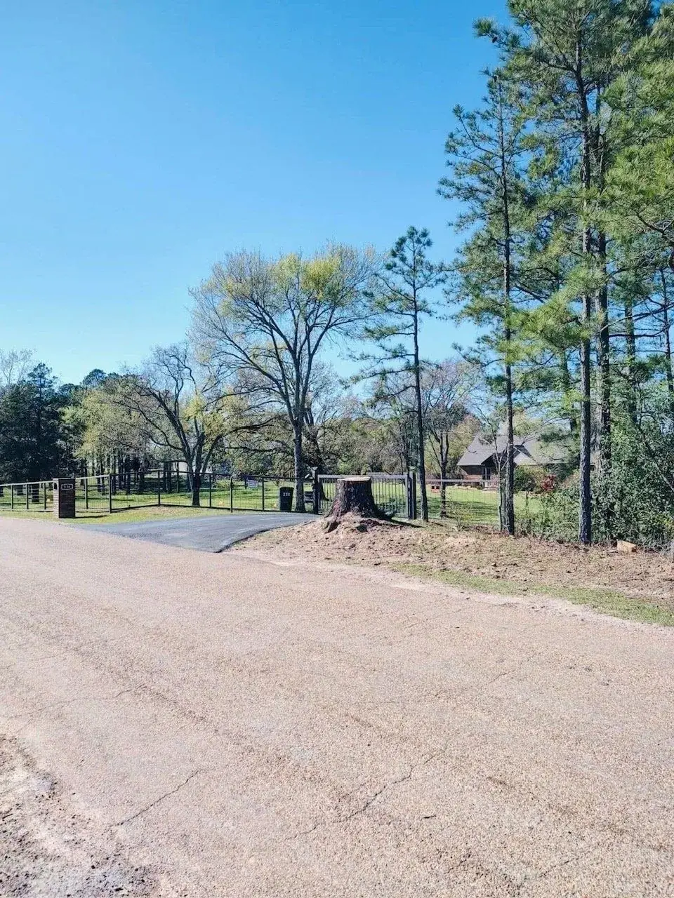 Stump grinding and removal at a residential property in Clark County, AR